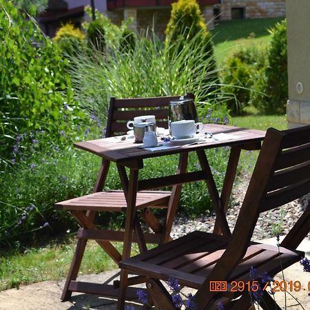 Apartament Parkowa Polana Z Ogrodem Polanica-Zdrój Exterior foto