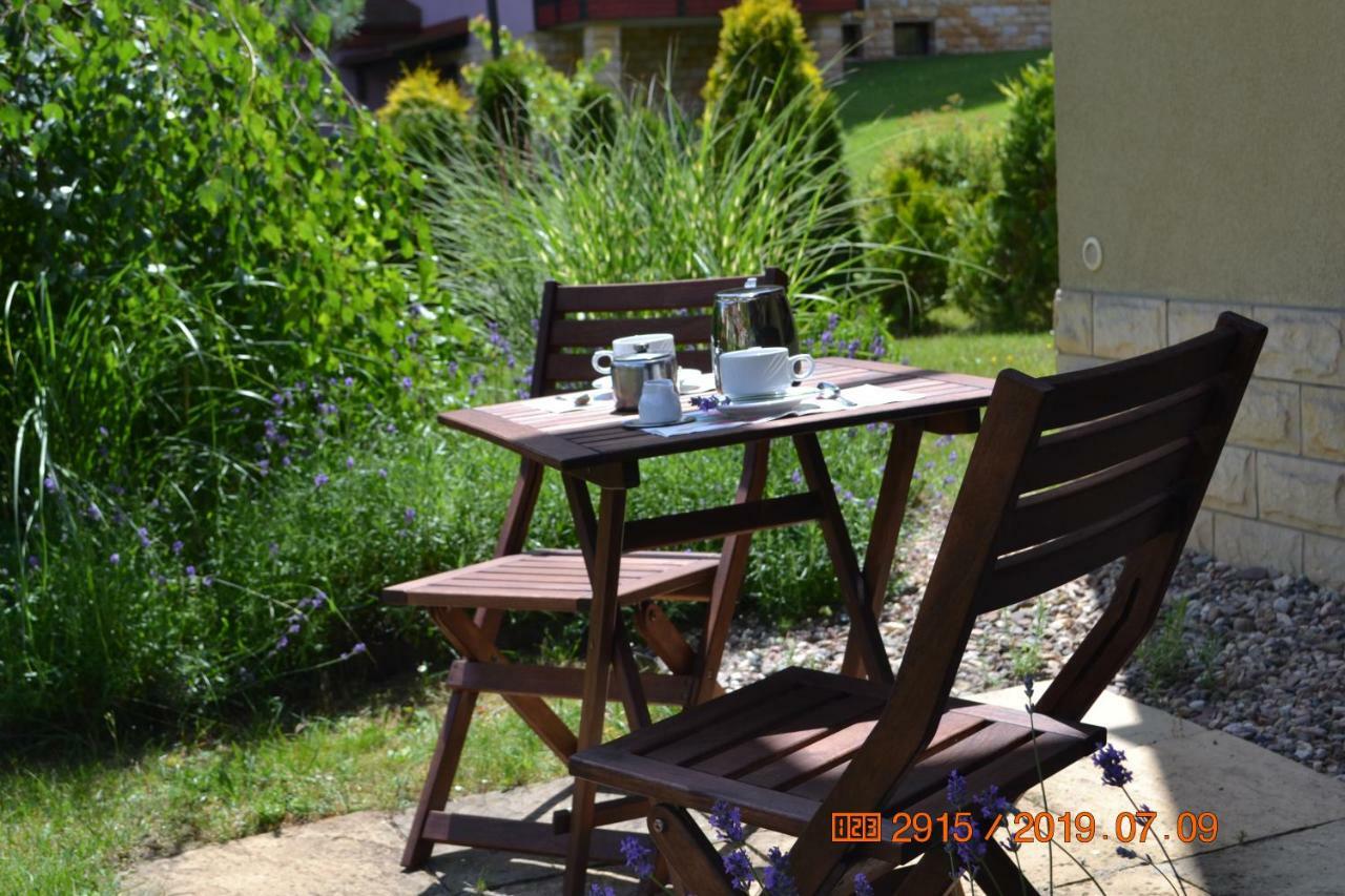 Apartament Parkowa Polana Z Ogrodem Polanica-Zdrój Exterior foto